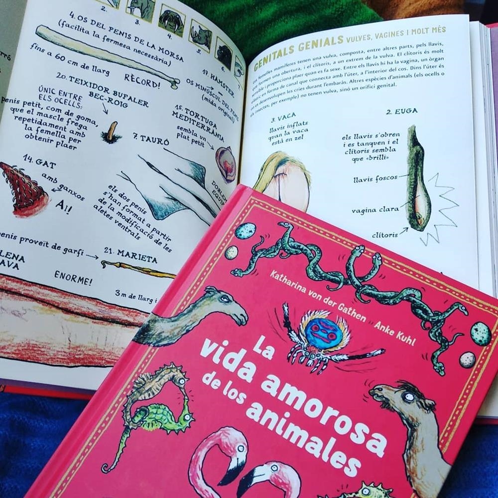 Lecturas a partir de 8 años | Libros de Takatuka | Kamchatkatoys