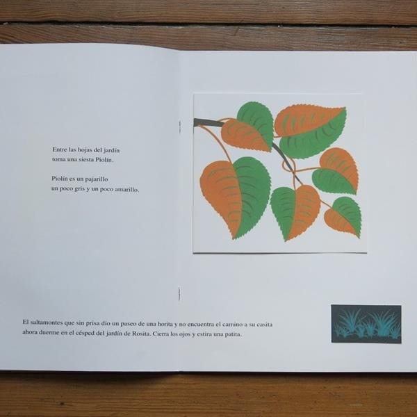 Bruno Munari | Álbum Ilustrado | Kamchatkatoys