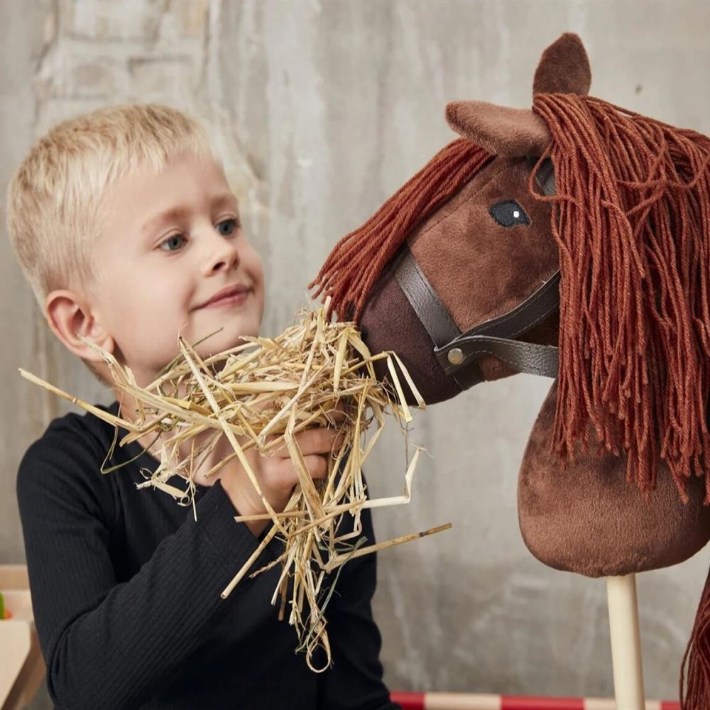 Caballito de Palo para niños | Juguetes de siempre | Kamchatka